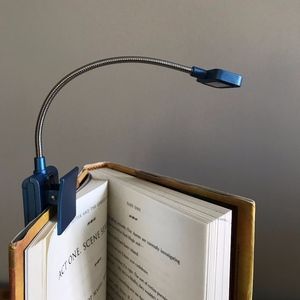 Mini book light